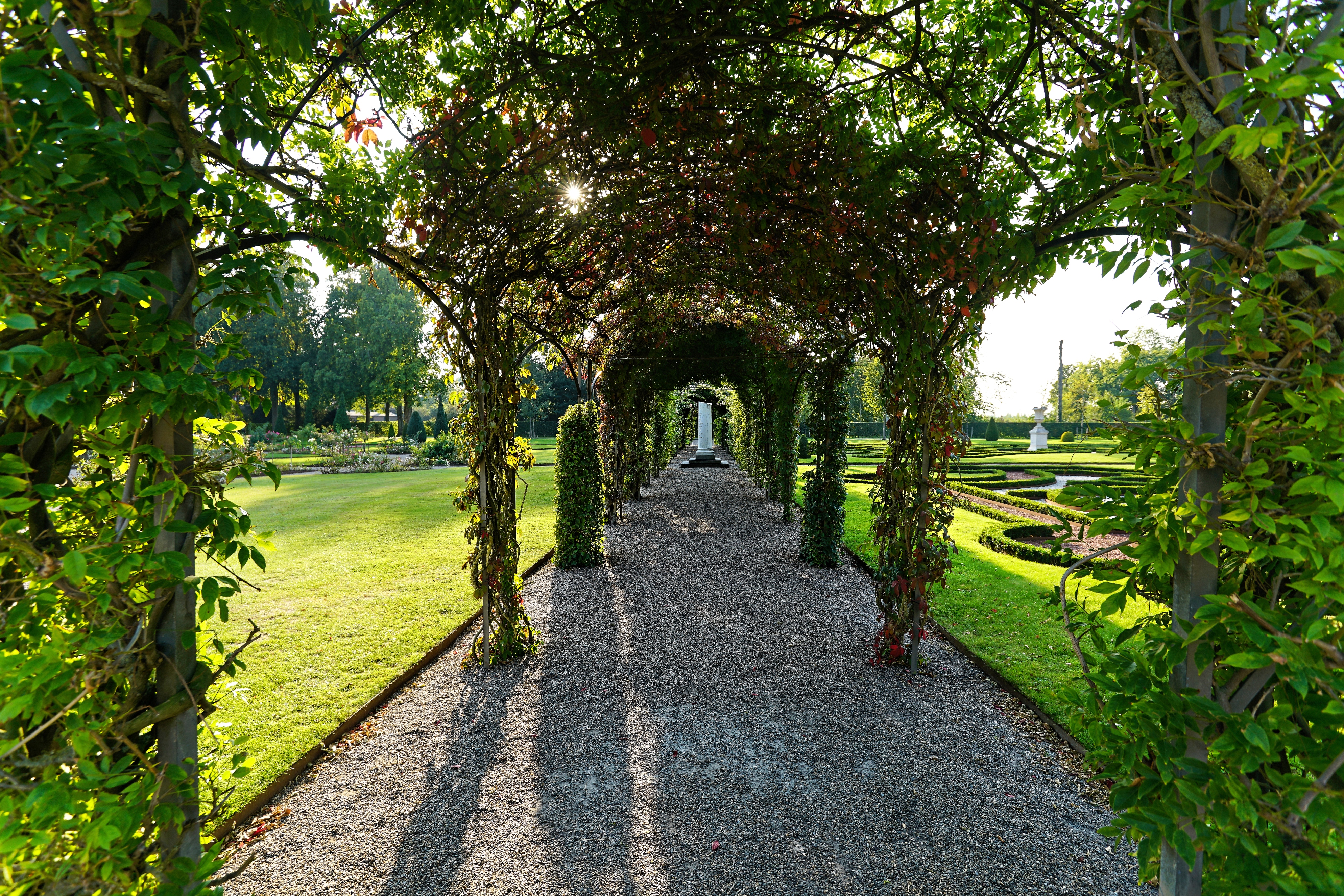 Vine archways on a path with beautiful landscaping to the sides
