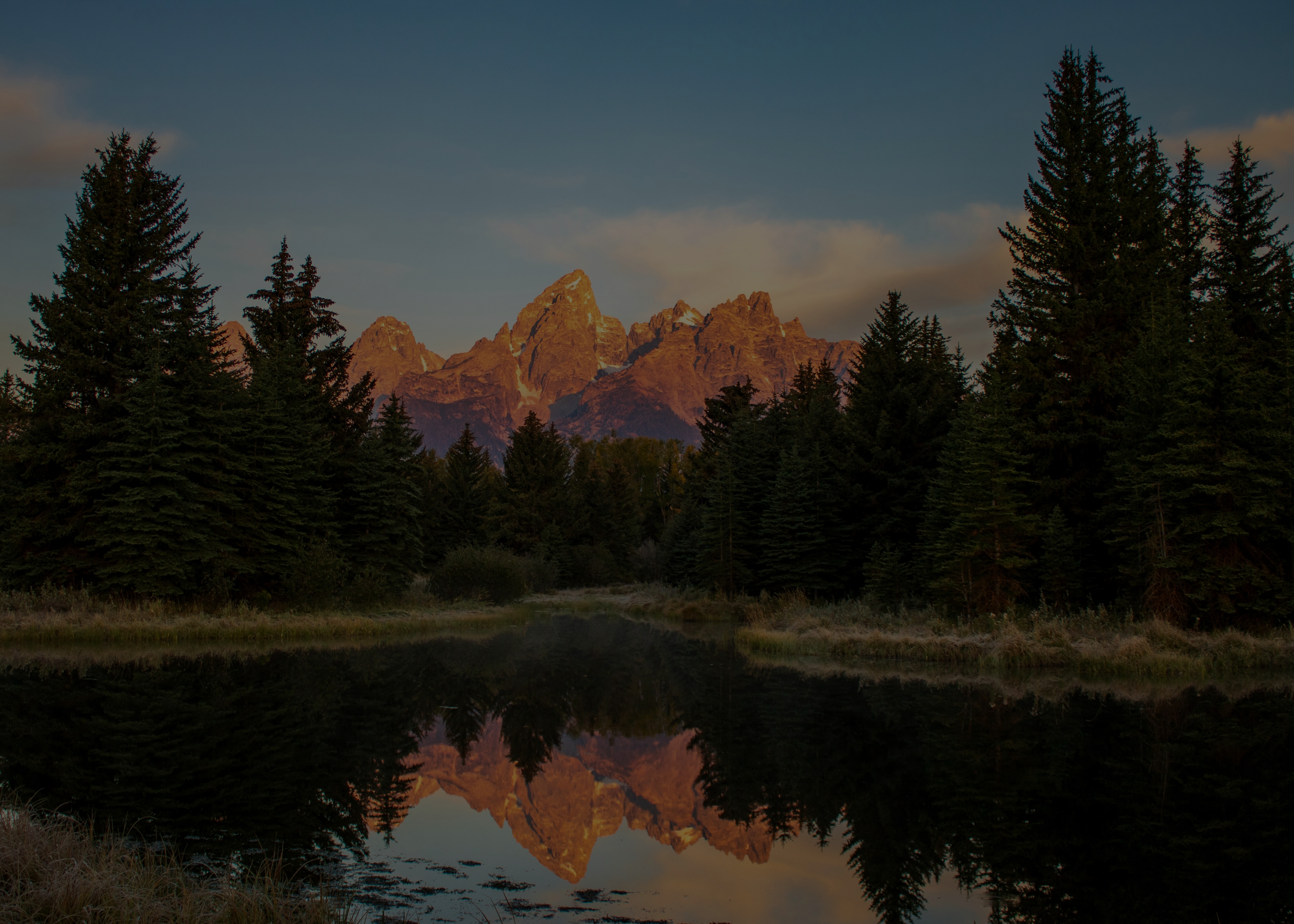 A river in a forest with mountains in the background